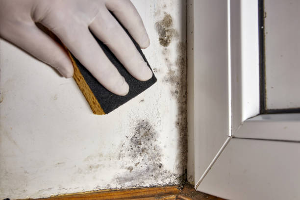 Best Asbestos and Lead Testing During Mold Inspection  in Heavener, OK